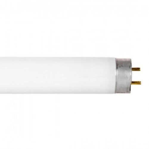 NÉON 4 PIEDS, PETIT TUBE STANDARD, 30 PAR CS F032/841/ECO